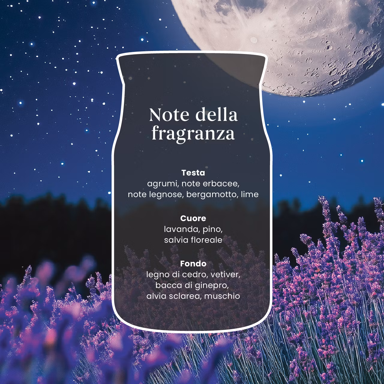 Signature Yankee Candle Grande Midsummer's Night - immagine 4