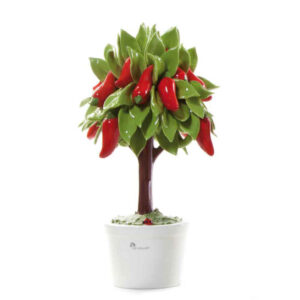 GLI ALBERELLI – Alberello Peperoncino MAXI 23x33cm