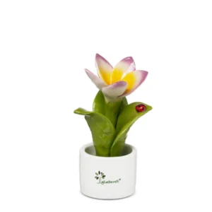 Gli Alberelli – Piantina Frangipane 6x14cm  Profumatore Bia-Gial-Lilla