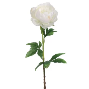 Peonia Bianca 70 cm