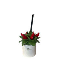 Gli Alberelli – Profumatore a bastoncini Peperoncini 8x16cm