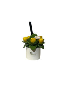 Gli Alberelli – Profumatore a bastoncini Limoni 8x16cm