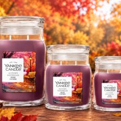 Yankee Candle – Set Autumn Daydream